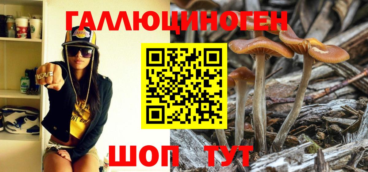 Галлюциногенные грибы MAGIC MUSHROOMS  Вход с VPN  Холмск 