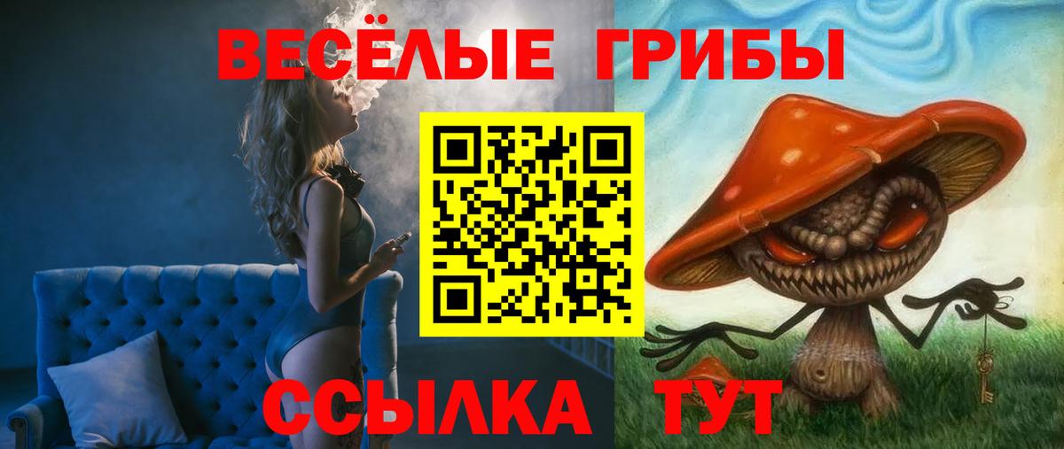Псилоцибиновые грибы GOLDEN TEACHER Холмск